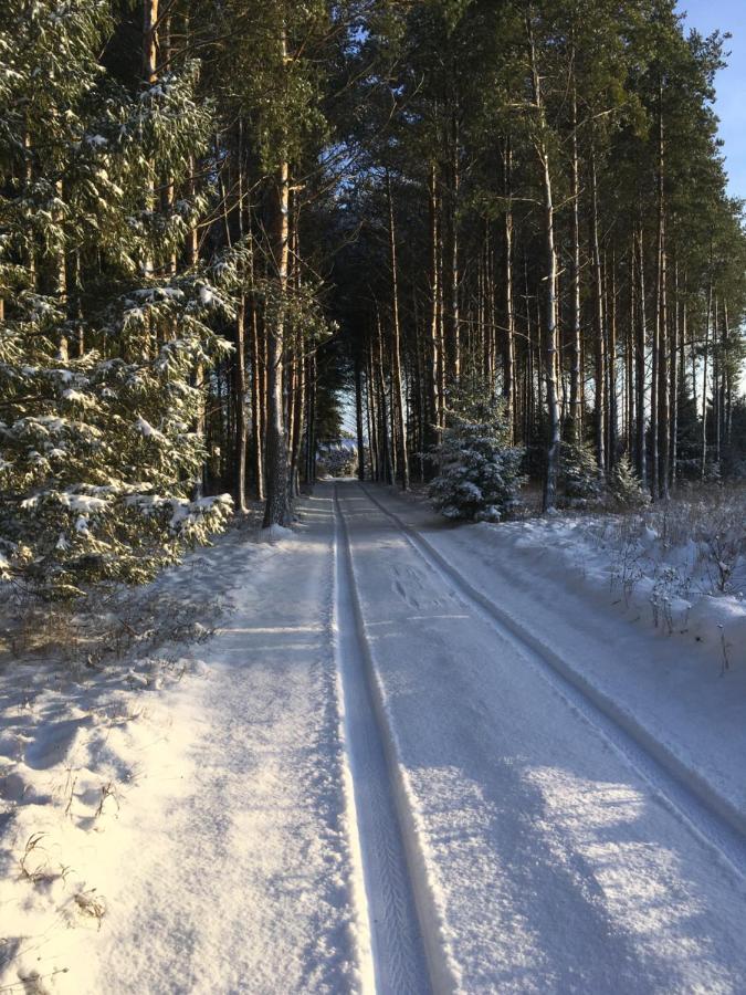 Kaeaenu Puhkemaja Villa Rakvere Esterno foto